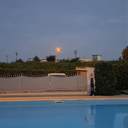 Holiday Sun